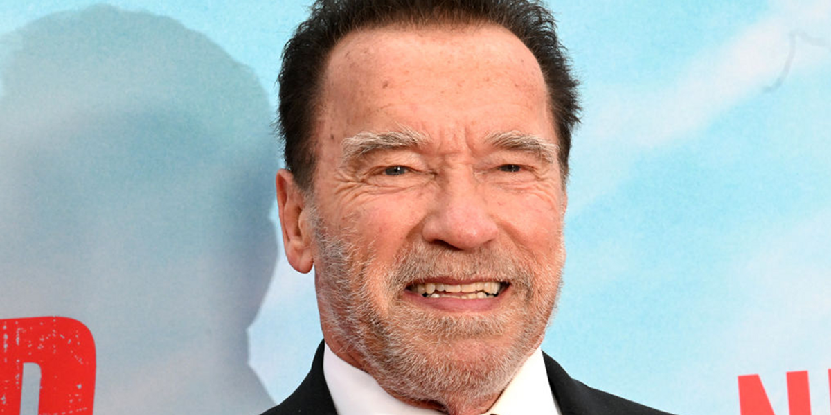 NextImg:'It’s a no brainer': Schwarzenegger says he would be president if he could run — 'I see so clearly how I could win'