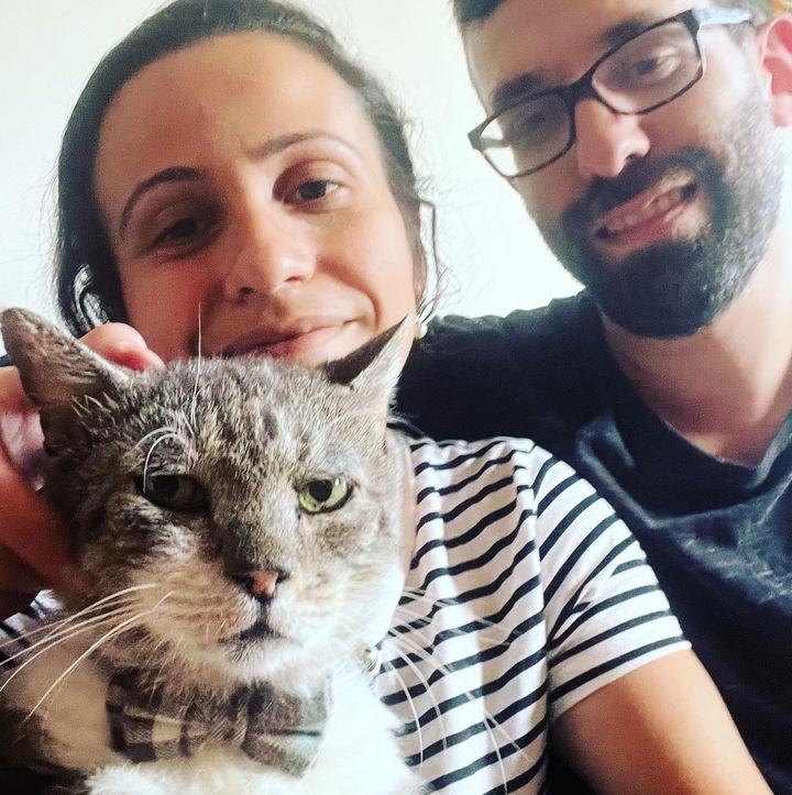 dapper cat braveman adopted