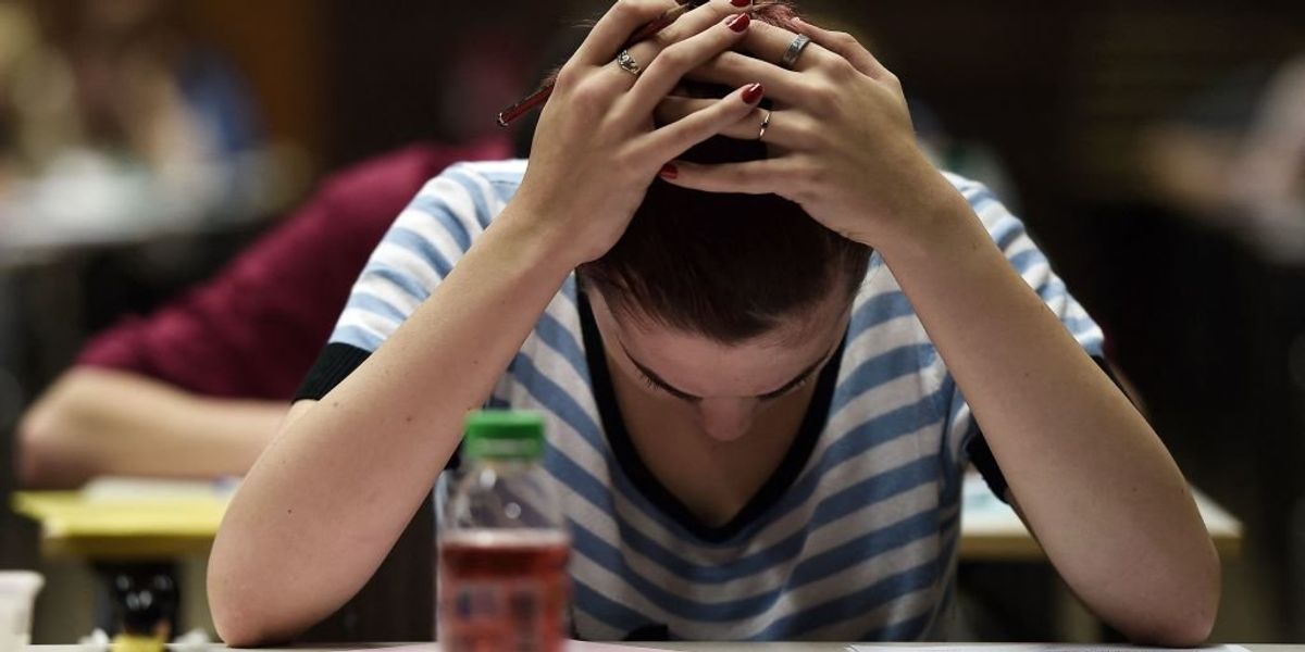 NextImg:Boston University law students offered therapy to help cope with several recent Supreme Court rulings that did not go in left's favor