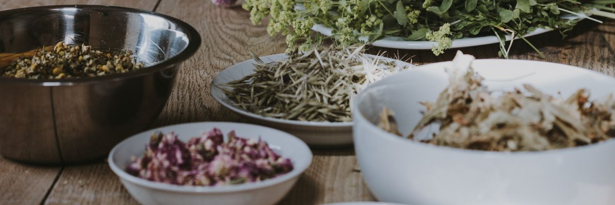 a photo of assorted medicinal herbs on a wooden table