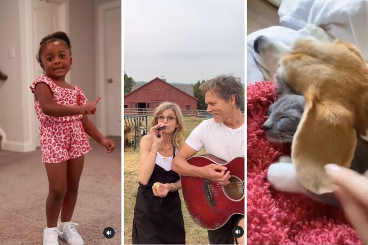 VanVan on Instagram, Kevin Bacon and Kyra Sedgwick singing, sleepy dog and cat