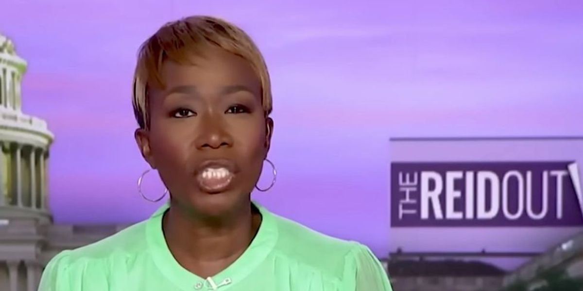 NextImg:MSNBC host Joy Reid was too scared of guns to go outside on the Fourth of July