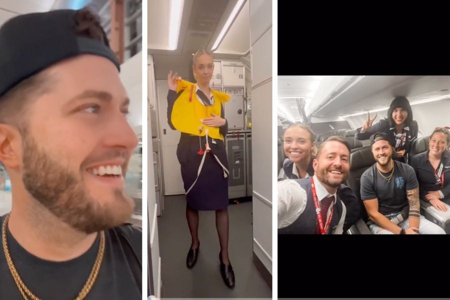 american airlines, flight attendant