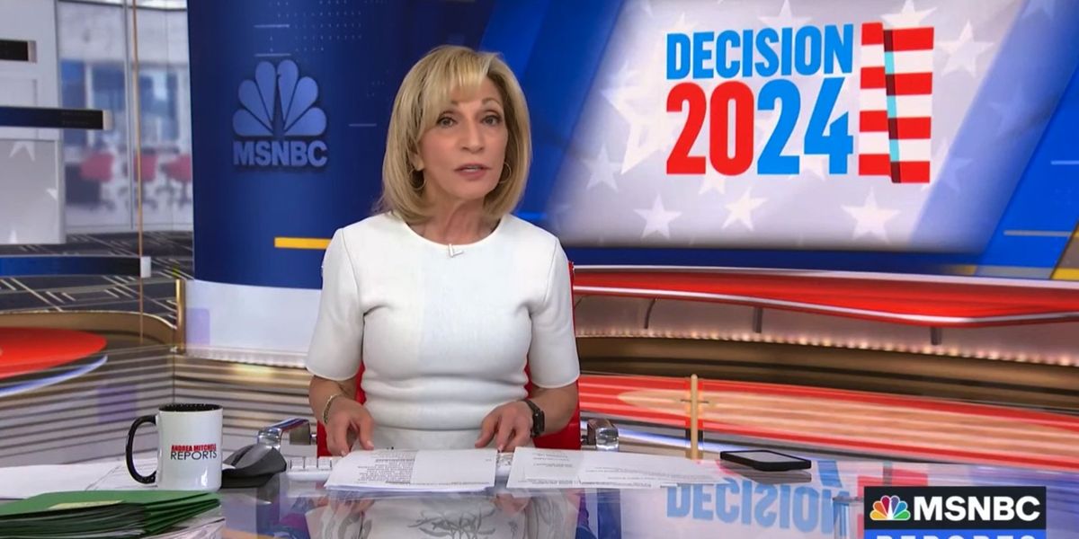 NextImg:MSNBC host outrages liberals when she dares point out the obvious problem with Joe Biden's re-election campaign