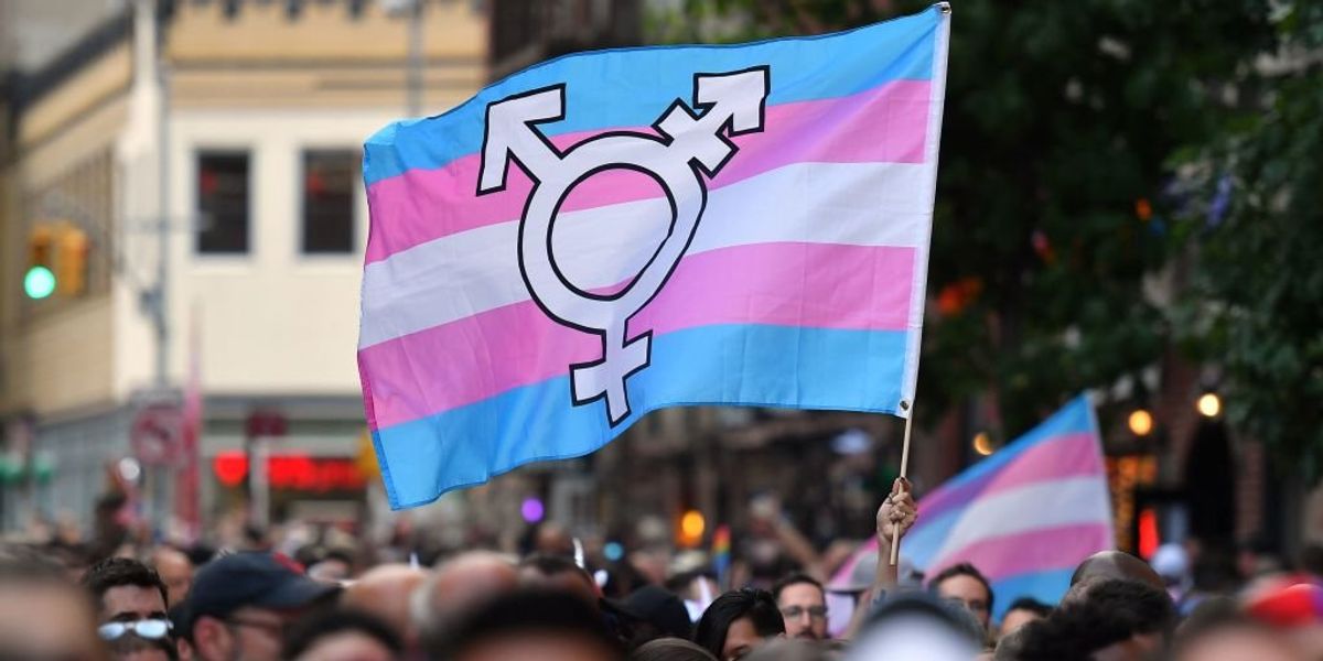 Cervical cancer fund advises that vaginas be referred to as 'bonus holes' as to not offend transgender people