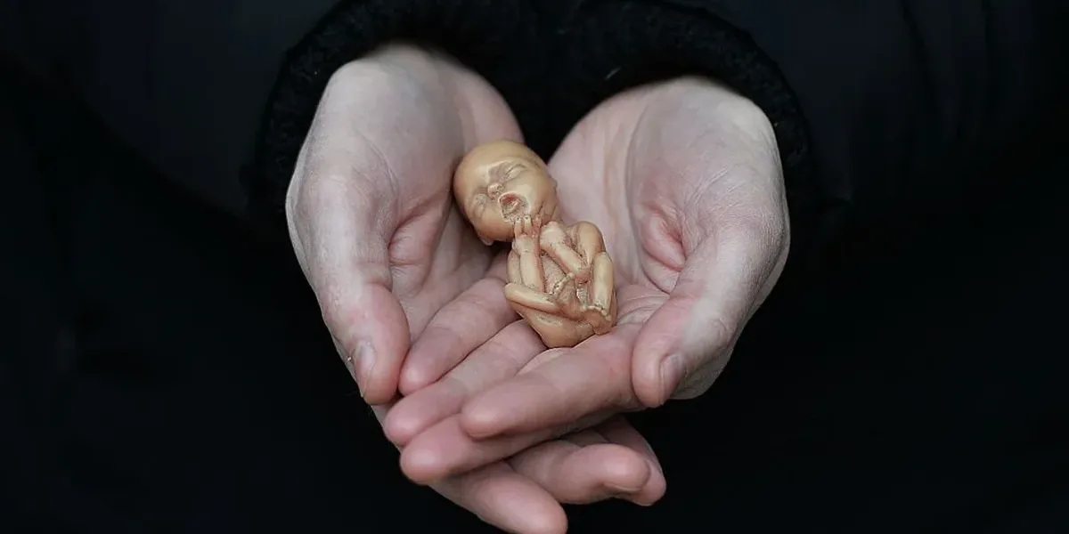 NextImg:Thanks to Texas' abortion ban, nearly 10,000 babies are alive today who would have otherwise been slaughtered: Study