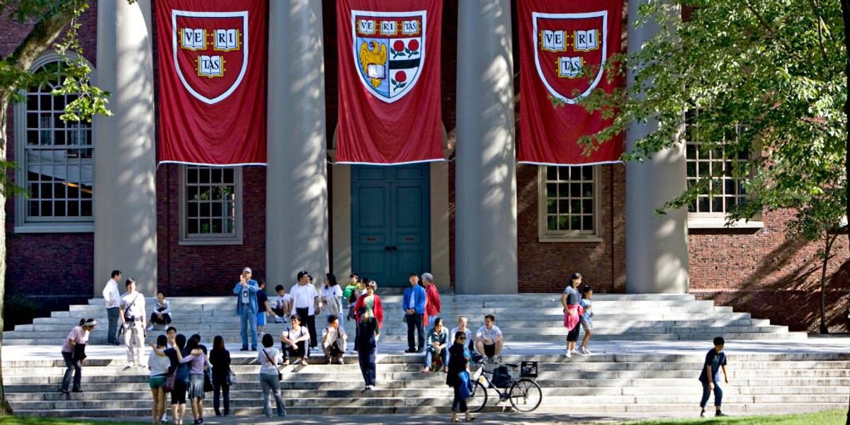 AI-powered professors to teach Harvard coding class: ‘Eventually approximate a 1:1 teacher:student ratio’