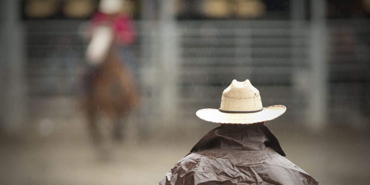 NextImg:'Left for greener pastures together': Professional rodeo cowboy and his horse killed by lightning strike