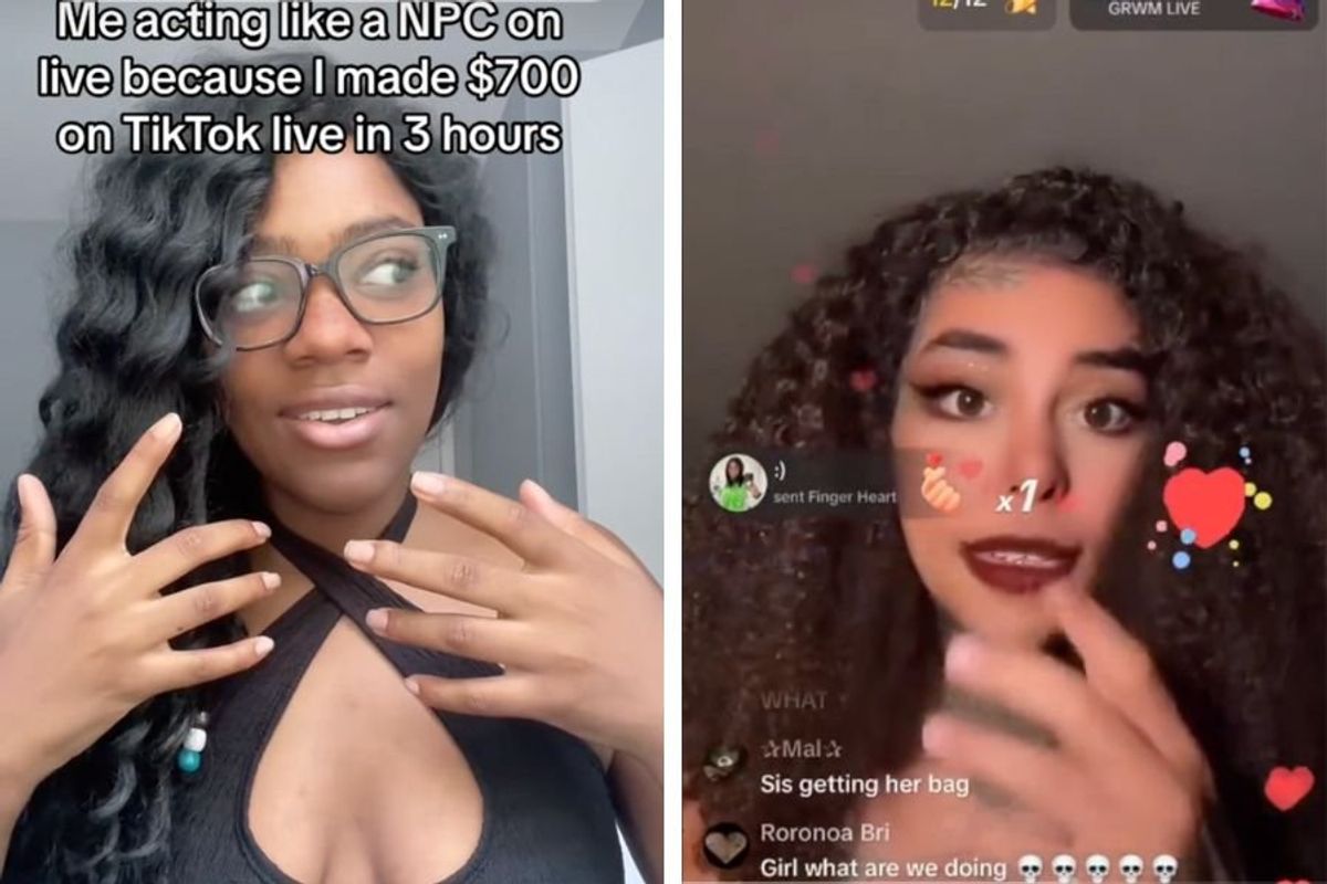 pretending to be AI; Pretending to be NPC; TikTok trends; TikTok live; NPC