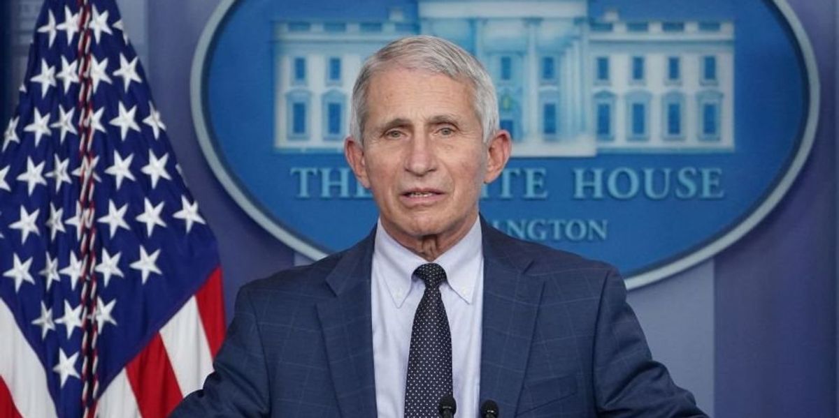 NextImg:Dr. Fauci is still receiving taxpayer-funded security and limo — treatment Sen. Paul says is reserved for former presidents