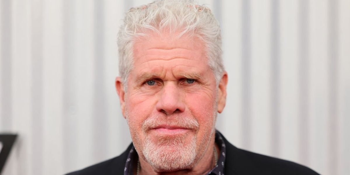 NextImg:'Be careful, motherf***er': Ron Perlman deletes video threatening studio executive's home: 'There’s a lot of ways to lose your house'