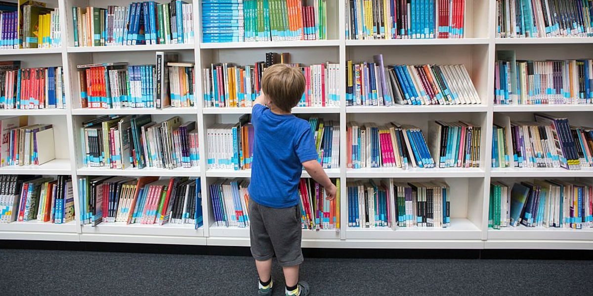 Idaho's publicly-funded libraries should withdraw from Marxist-led American Library Association, says GOP lawmakers: 'Exposing children to explicit materials and injecting hard-left politics'