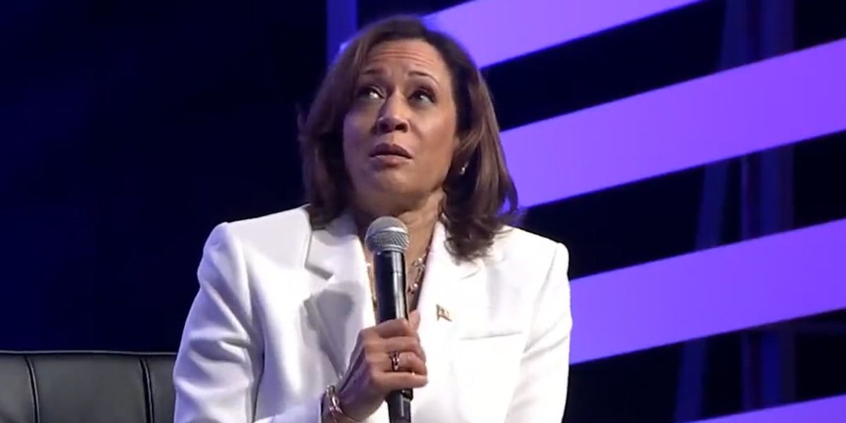 Kamala Harris' bizarre attempt to redefine 'culture' elicits mockery