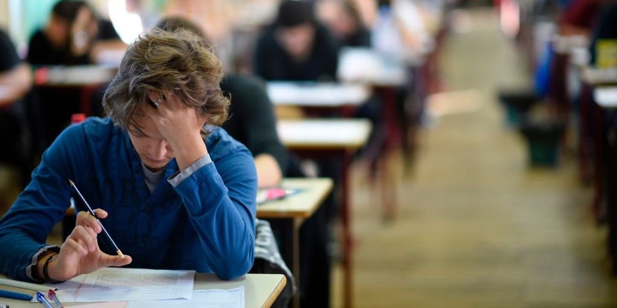 High schoolers suspended for 'misgendering' peer, subjected to 'restorative justice' re-education training