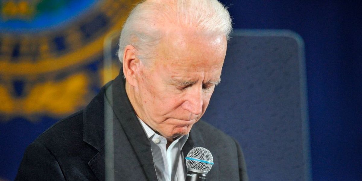NextImg:New York Times columnist pens blistering op-ed criticizing the Bidens' treatment of unacknowledged grandchild