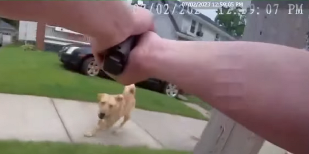 Bodycam video shows police officer shooting family's labrador/golden retriever mix dog, Ohio community demands 'justice for Dixie'
