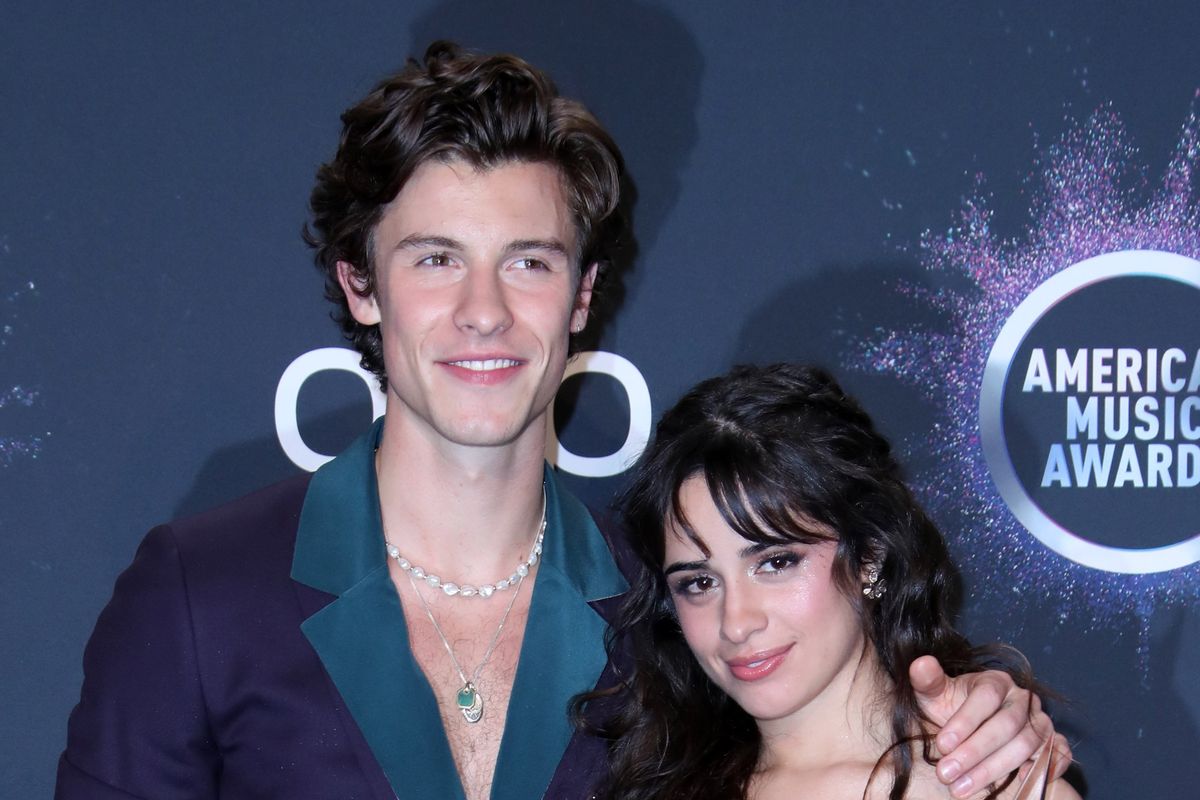 Camila Cabello and Shawn Mendes Might Be Perfect for Each Other Because They're Both Racists