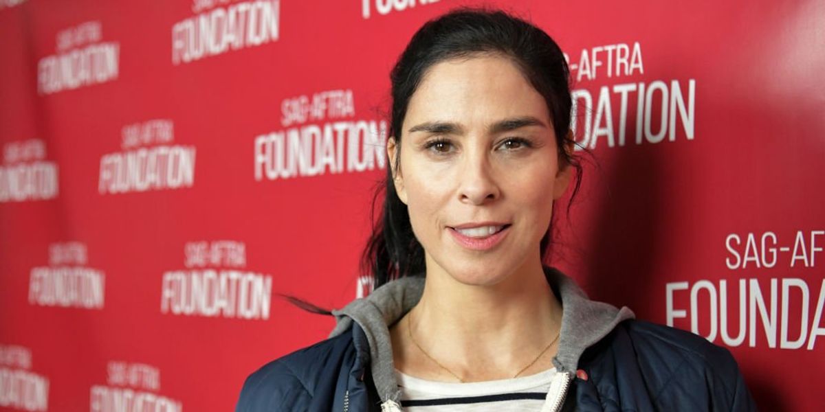 NextImg:Comedian Sarah Silverman sues OpenAI, Meta for copyright infringement, claiming her book was used as AI training material