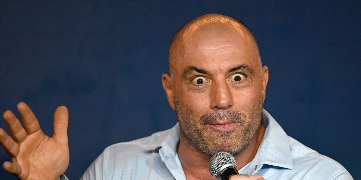 NextImg:Joe Rogan reacts to MSNBC article linking fitness to white supremacy: 'Holy f***'