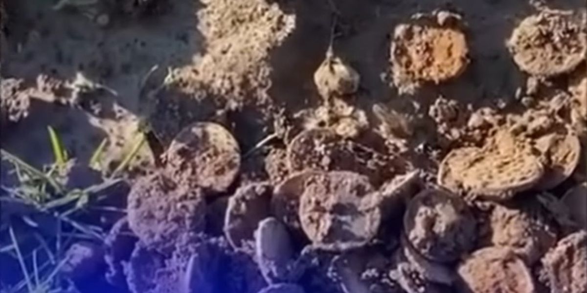 NextImg:Kentucky man finds a fortune in Civil War-era gold coins beneath his corn field: 'Unf***ing real'