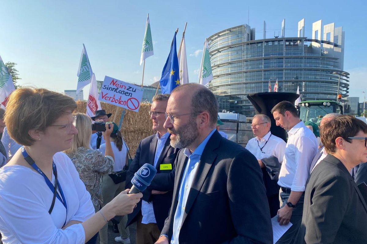 Passa al pelo la legge Natura. Pse e Verdi l’annacquano per farla digerire all’Aula