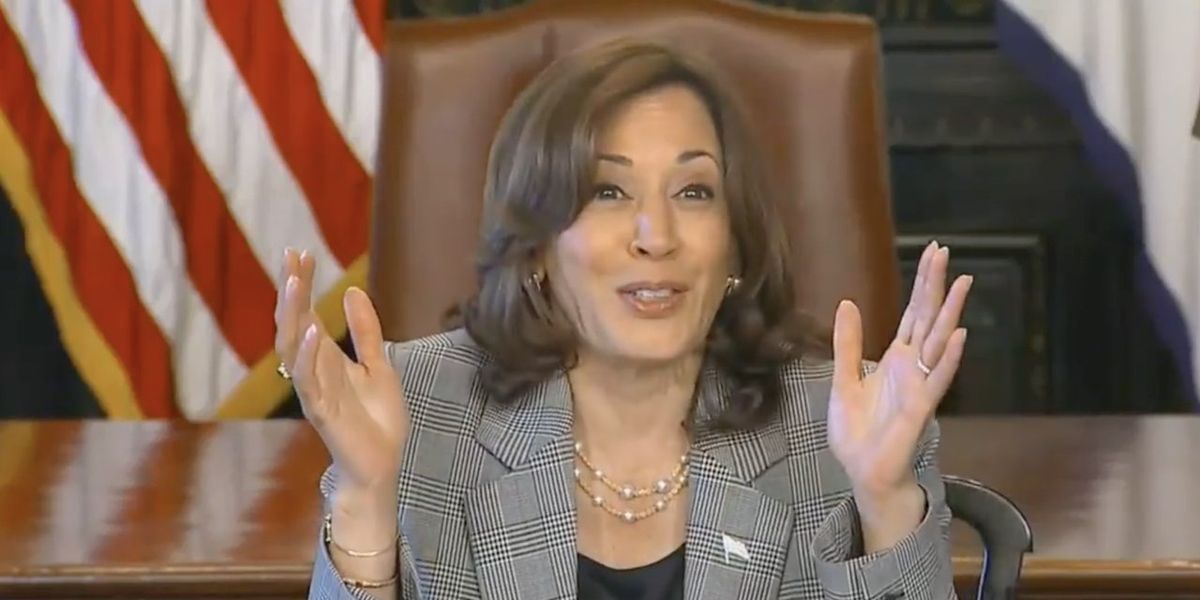 NextImg:Kamala Harris explains — to adults — that AI is 'kind of a fancy thing,' has 'two letters,' and 'means artificial intelligence.' Then she whips up yet another word salad.