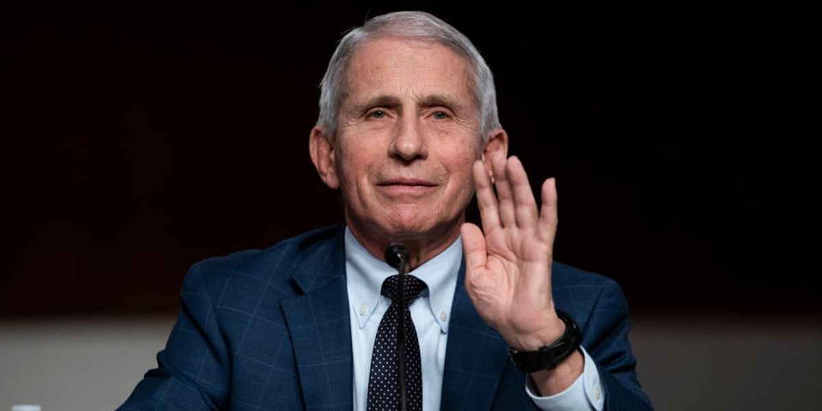 New bombshell email shows Anthony Fauci warning about 'gain-of-function experiments' at Wuhan lab, Rand Paul reacts: 'Orchestrated a cover-up'