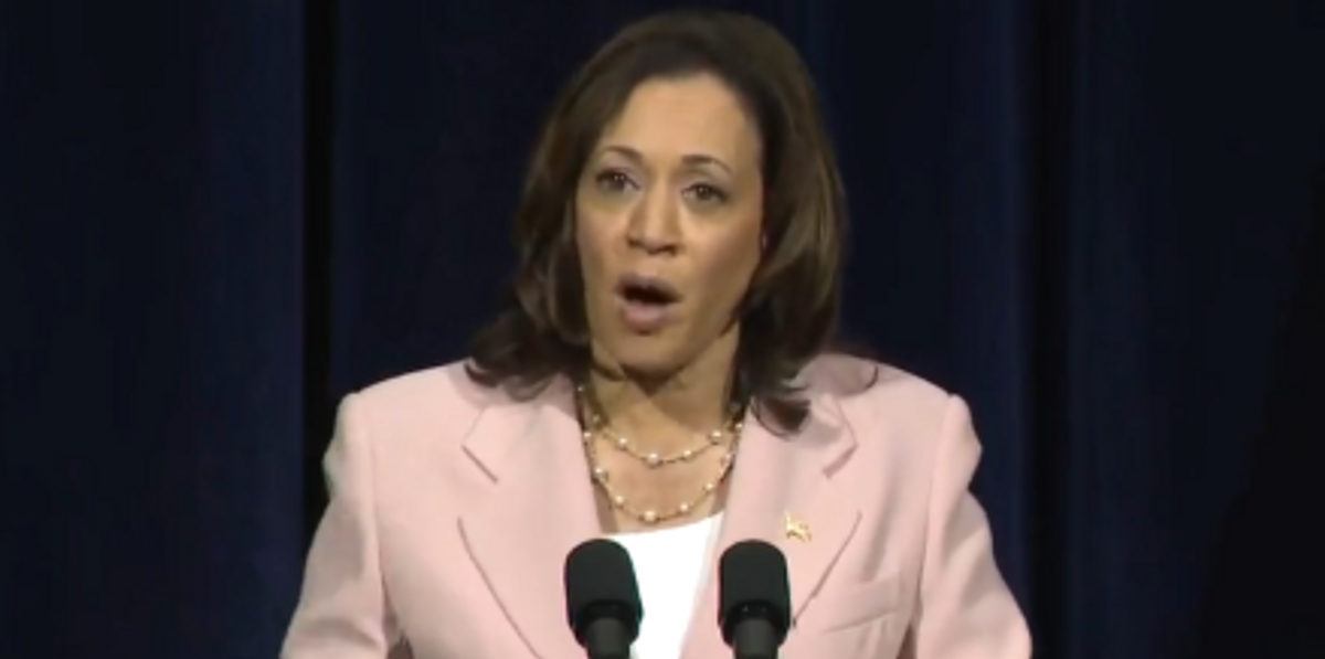 NextImg:Kamala Harris declares US must 'reduce population' to combat climate change in yet another gaffe
