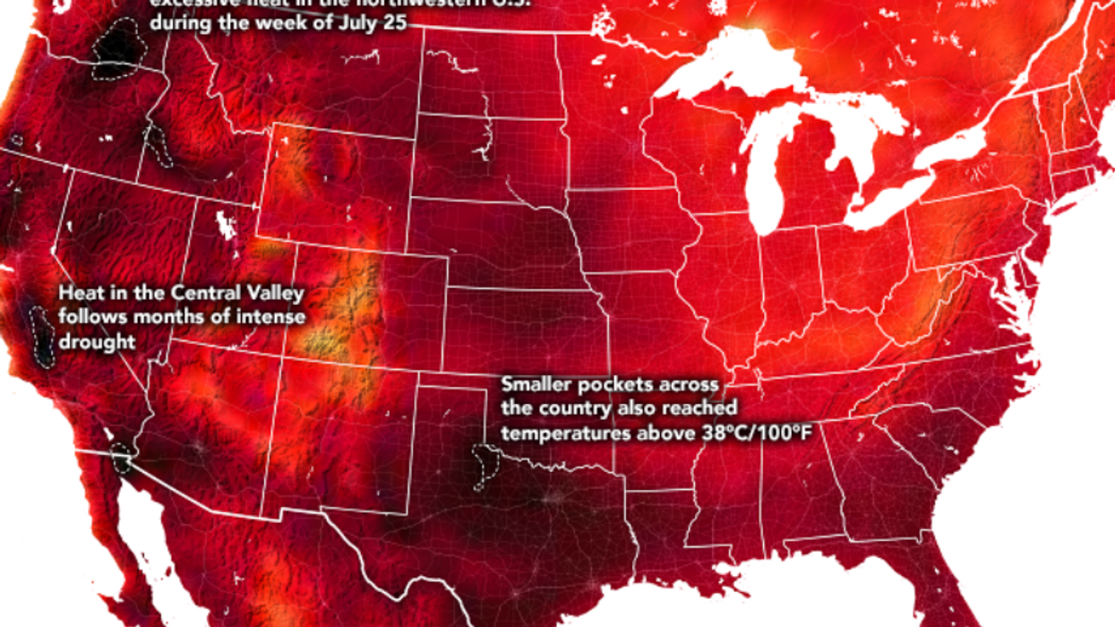 Right-Wing Media Deny Climate Change Despite Extreme Heat Waves