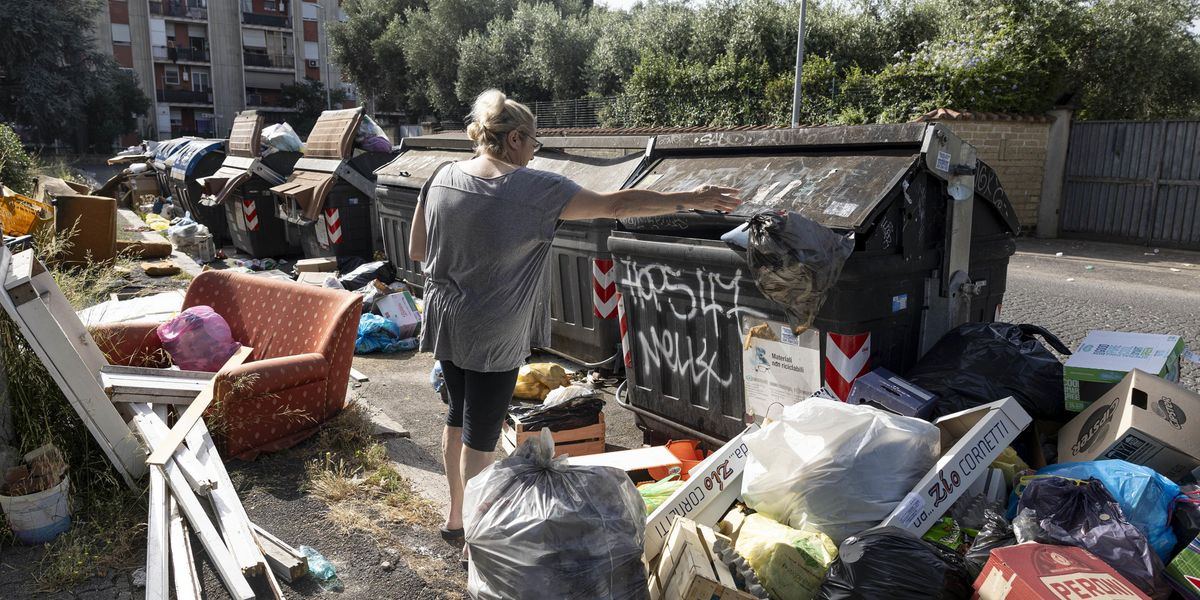 Roma è diventata la capitale dei ratti. Il Tar mette all’angolo ...