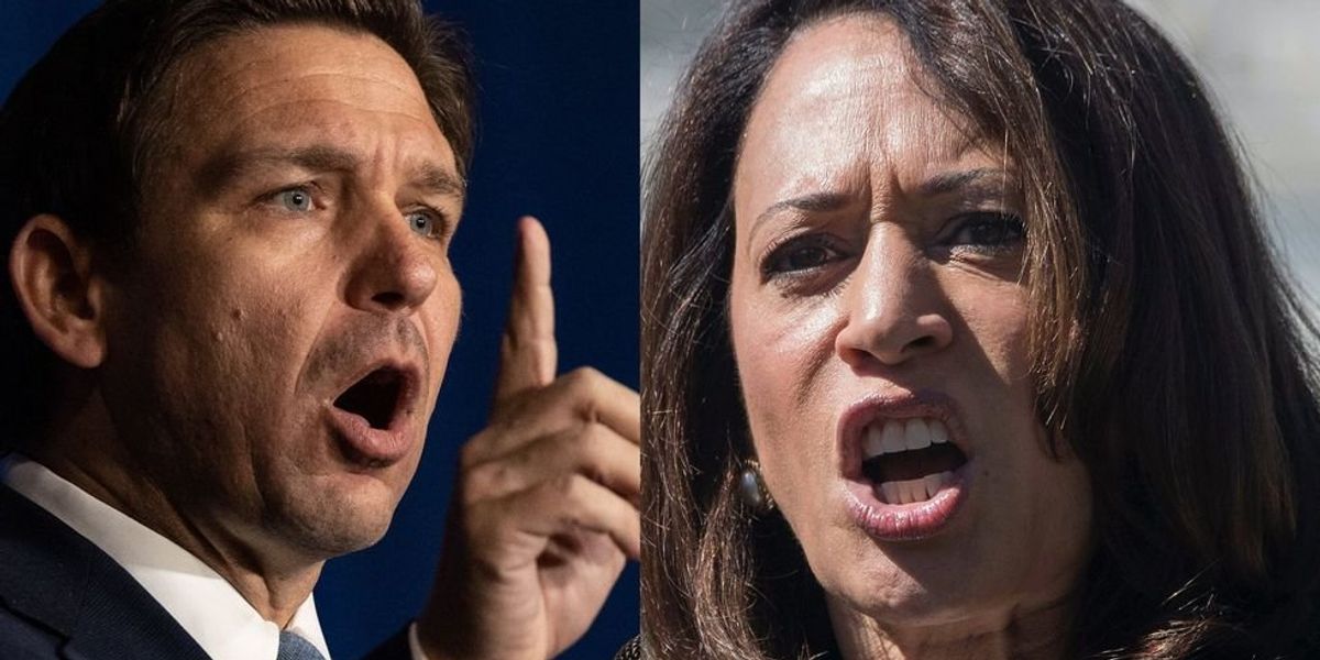 Ron DeSantis eviscerates Kamala Harris for lying about Florida curriculum on slavery: 'Nobody's buying their nonsense anymore'
