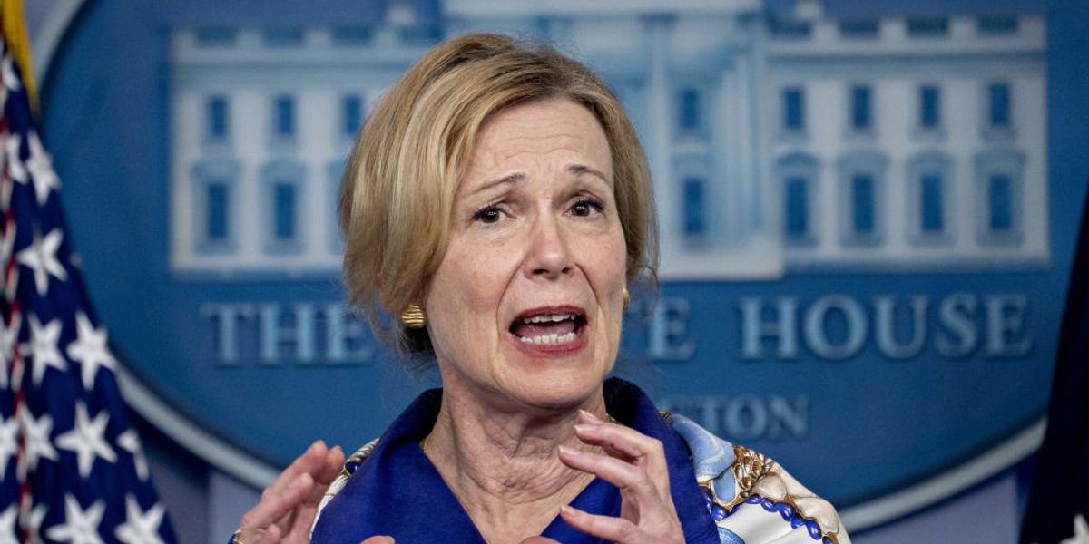 NextImg:Former White House Coronavirus Task Force advisor Deborah Birx named CEO of pharmaceutical company, has been active in private sector since leaving government positions