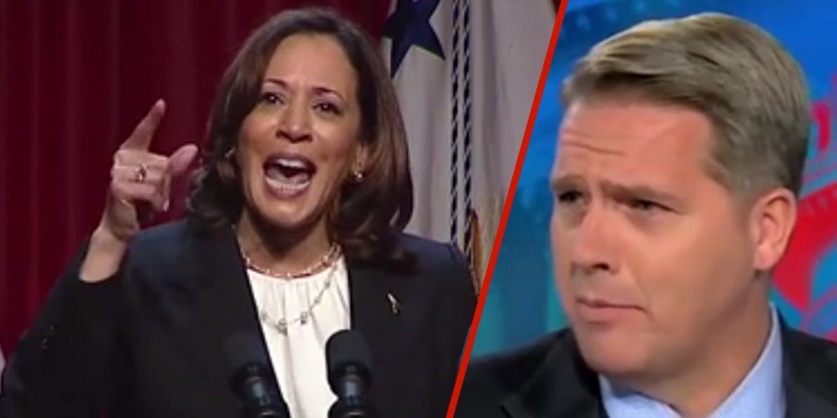 CNN panelist calls out Kamala Harris for 'completely made up' claims about Florida curriculum after VP calls Supreme Court and FL lawmakers 'extremists'