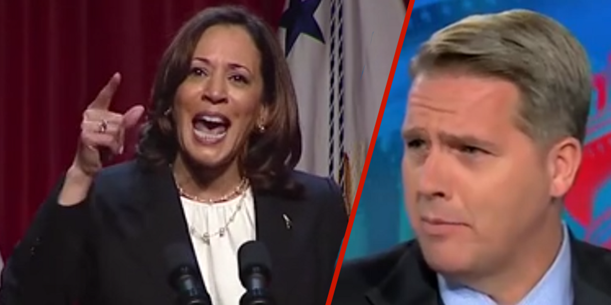 NextImg:CNN panelist calls out Kamala Harris for 'completely made up' claims about Florida curriculum after VP calls Supreme Court and FL lawmakers 'extremists'