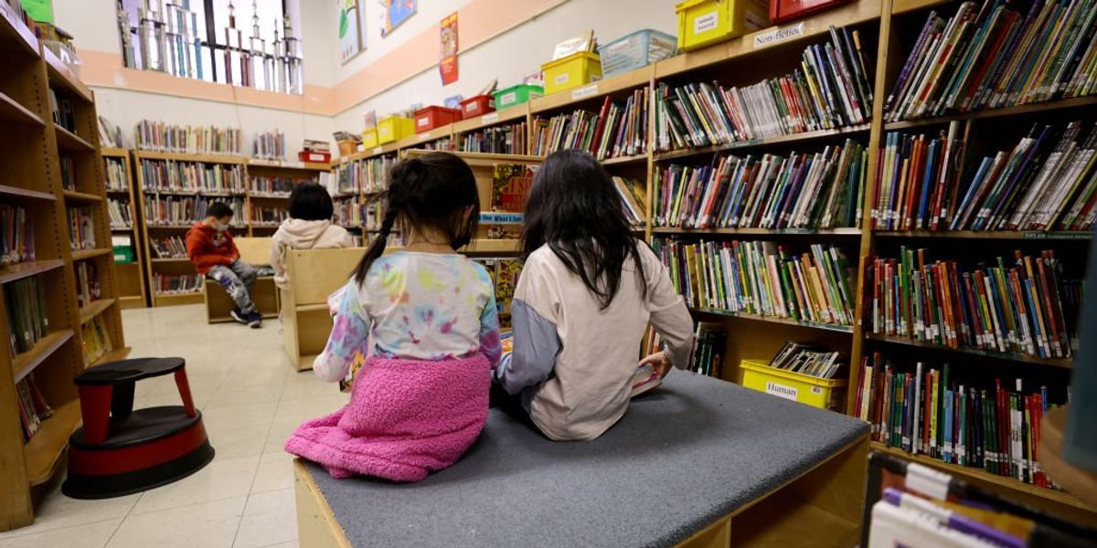 New national library organization launches as alternative to Marxist-led American Library Association after lawmakers in multiple states push to sever ties