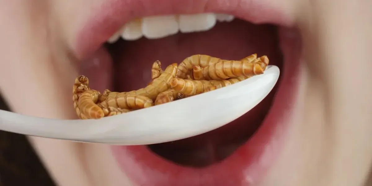 NextImg:NPR ridiculed for regurgitating claim that the movement to push bug food on the masses is a 'racist' conspiracy theory