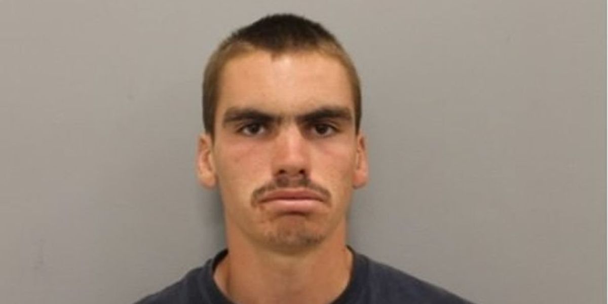 'Bored' teenage firefighter allegedly torched abandoned homes he considered 'ugly,' set fires in local cemetery