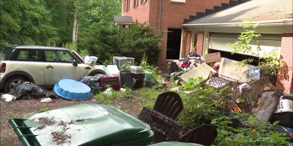 NextImg:Elderly woman who ran dog rescue is charged with dozens of felonies in largest animal cruelty case in Ohio state history