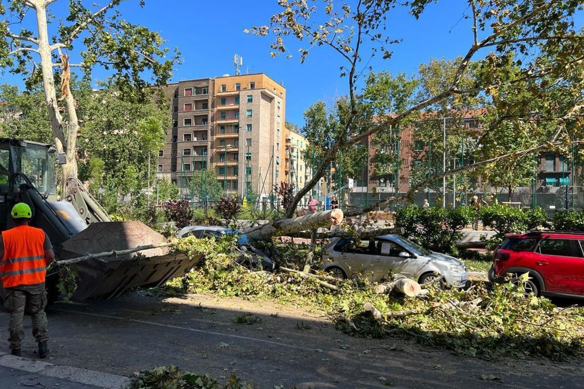 Sala in panne davanti all’emergenza. L’opposizione: «Serve un ente terzo»