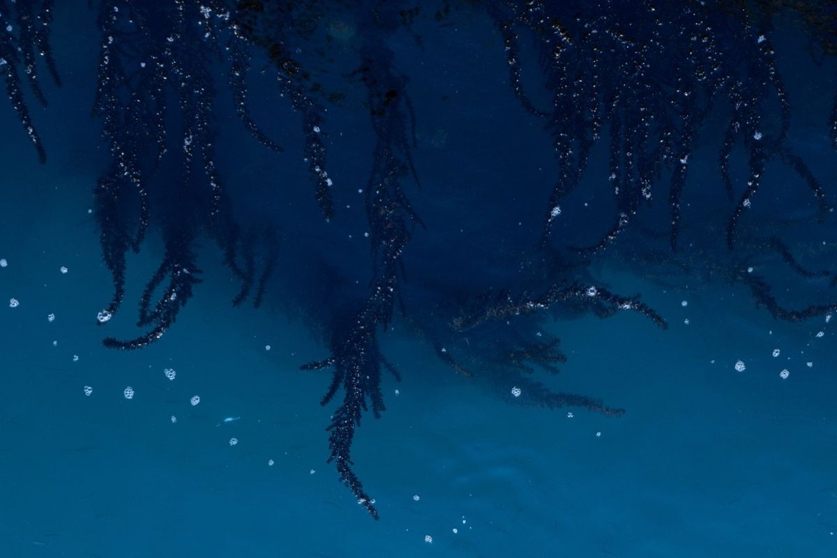 Ragusa Foto Festival 2023