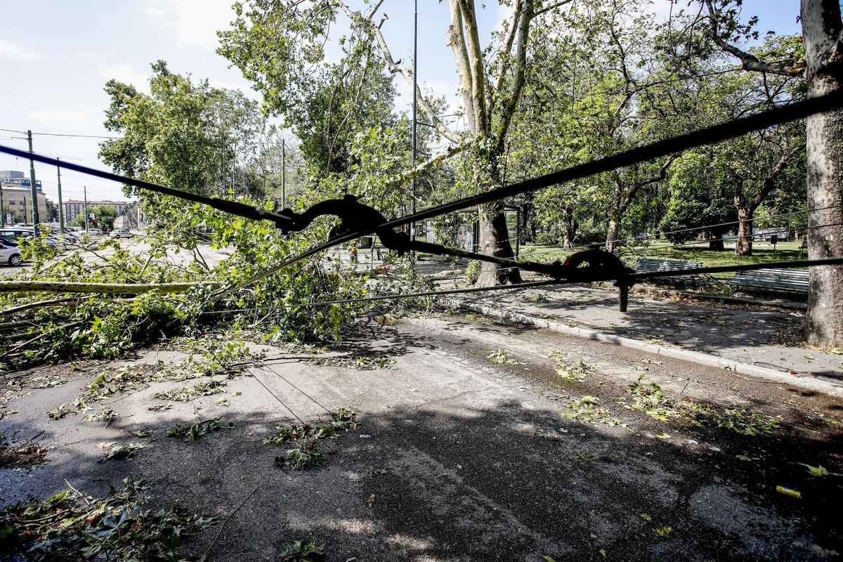 Alberi a terra e strade sbarrate. Milano ancora in tilt per il temporale