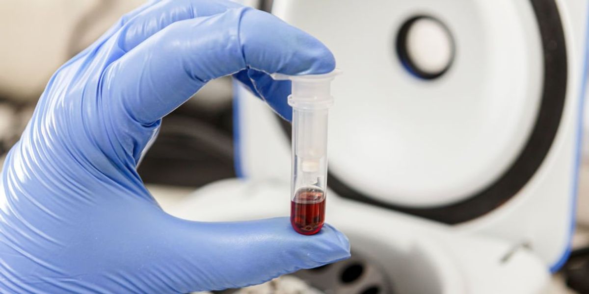 NextImg:Republican senators probing USDA's links to blacklisted Chinese biotech firm and its 'massive effort to sequence all of life'