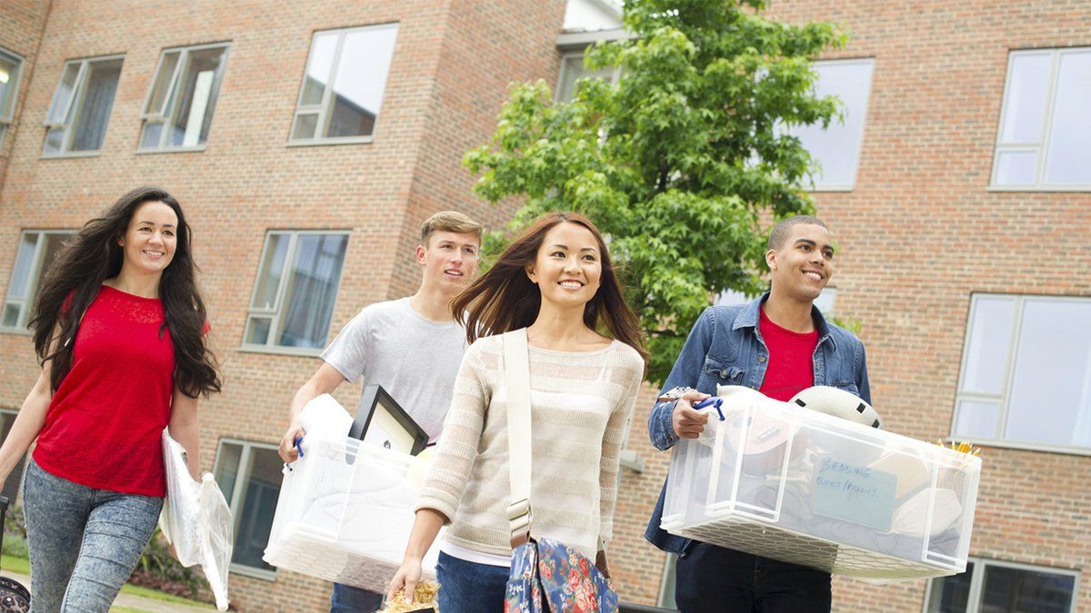 Four college students prepare to move into a dorm building with their belongings from home.