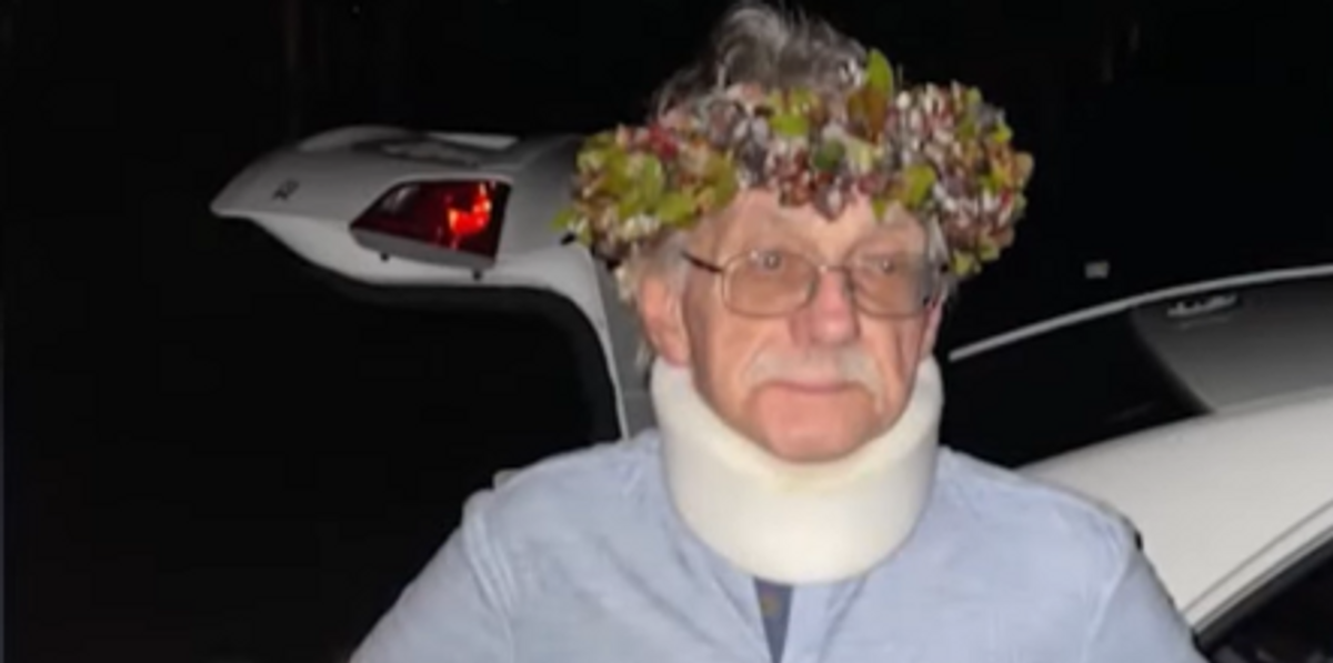 NextImg:'Absolutely shocked and devastated': Elderly Hawaii man mauled to death by pack of dogs