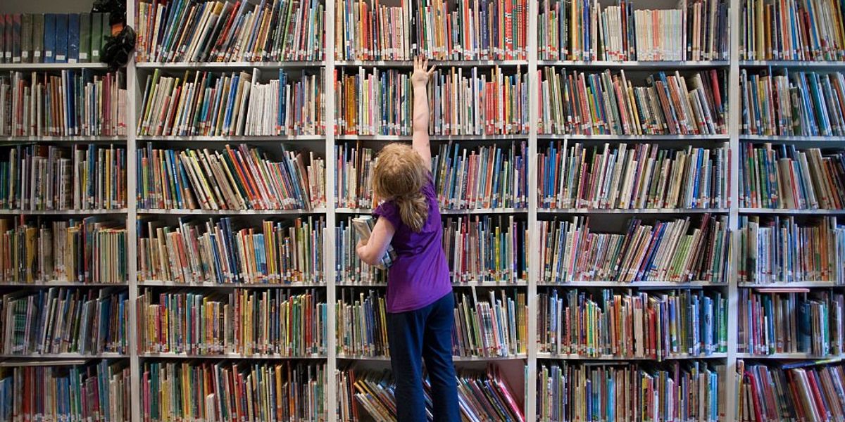 NextImg:American Library Association's Marxist president calls blowback over leadership 'regrettable,' claims her political agenda 'doesn't drive' organization