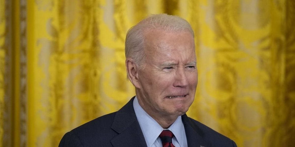 NextImg:Outraged advocates accuse Biden admin of 'dehumanizing' migrants with 'shocking' deportation videos