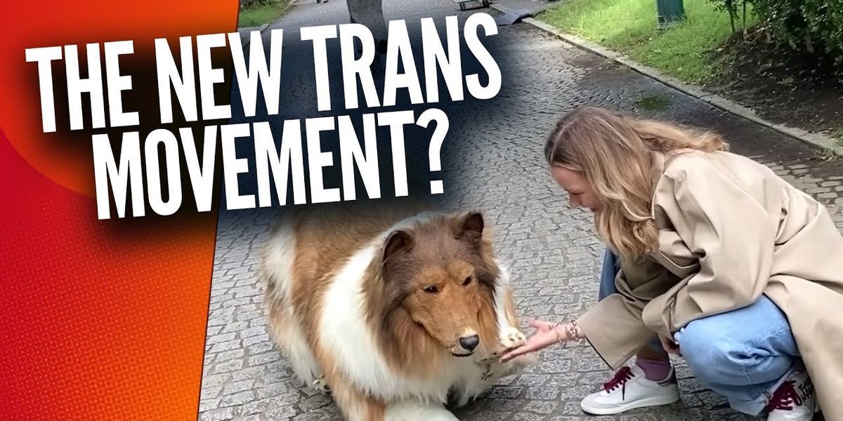 NextImg:Man spends over $20,000 to transform himself into a DOG