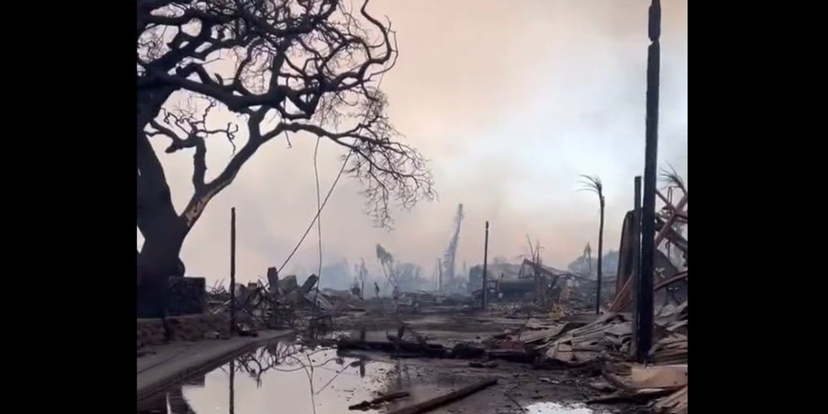 NextImg:At least 36 dead in Hawaii fires, which have displaced thousands, reduced a historic town to ash, and chased some into the ocean