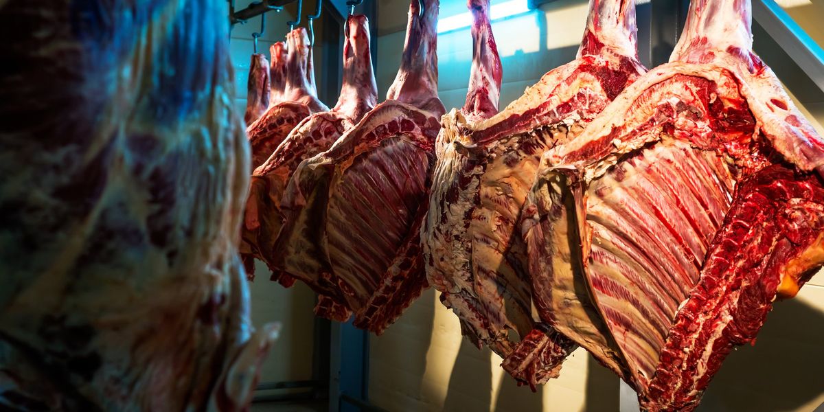 Owner who warned about dangers of company's meat grinder won't serve jail time after teen loses hand