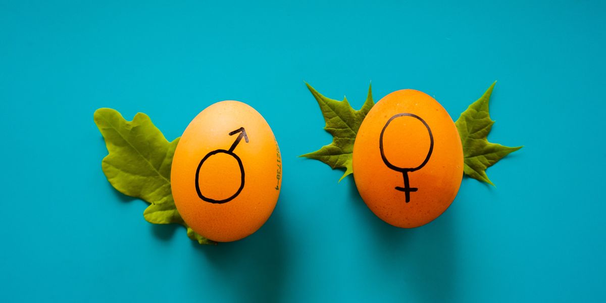 Two orange eggs with the male and female symbols on them